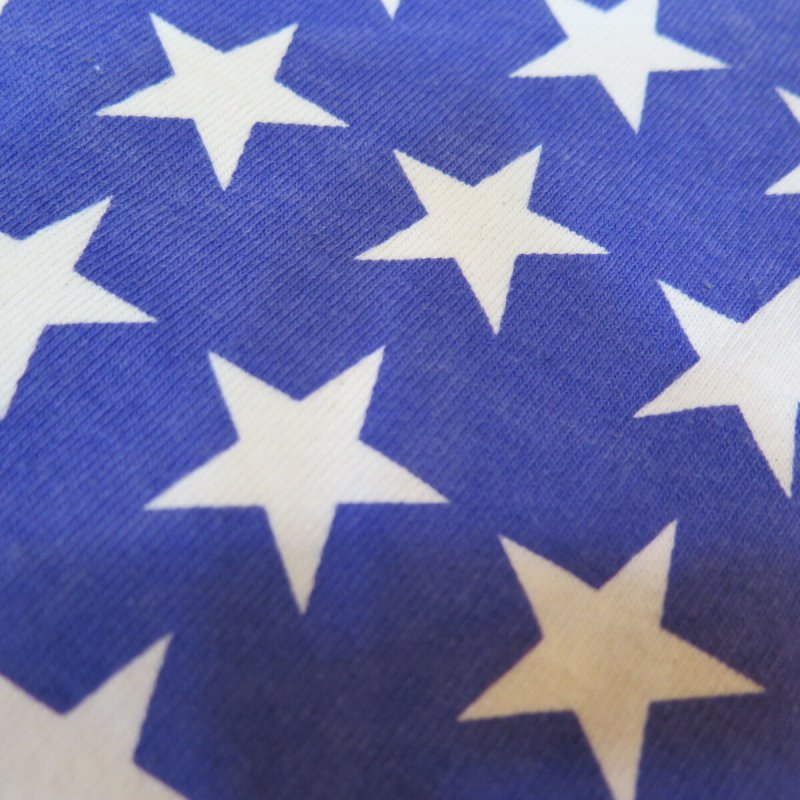 画像4: 【フェローズ】   袖星条旗柄 プリントTシャツ   Pherrow's 25S-PT2   日本製【送料無料】 (4)