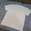 画像2: 【送料360円】 【フェローズ】  インディアン/サンダーバード プリントTシャツ  Pherrow's 21S-PTP2 日本製 (2)
