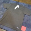 画像1: 【送料無料】 【トロフィークロージング】  ツーリストトロフィー 半袖ポケットTシャツ  TROPHY CLOTHING 日本製 (1)