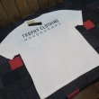 画像3: 【送料無料】 【トロフィークロージング】 モノクロームLEVEL1   バックロゴ ポケTシャツ TROPHY CLOTHING TR24SS-212 日本製 (3)