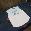 画像1: 【フェローズ】  ツートンカラー ロングスリーブTシャツ   Pherrow's 日本製 (1)