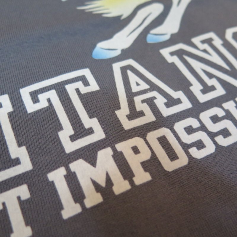 画像8: 【送料無料】 【フェローズ】  ナポレオン プリントTシャツ   Pherrow's 25S-PT22  (8)