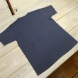 画像3: 【送料無料】 【フェローズ】   バッファロー プリントTシャツ   Pherrow's 25S-PT19  (3)