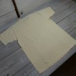画像6: 【送料無料】 【フェローズ】   バッファロー プリントTシャツ   Pherrow's 25S-PT19  (6)