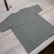 画像7: 【送料無料】 【フェローズ】 アメリカ空軍 プリントTシャツ Pherrow's 25S-PT32 (7)
