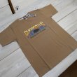 画像8: 【送料無料】 【フェローズ】   バッファロー プリントTシャツ   Pherrow's 25S-PT19  (8)